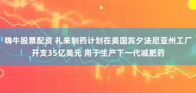 嗨牛股票配资 礼来制药计划在美国宾夕法尼亚州工厂开支35亿美元 用于生产下一代减肥药